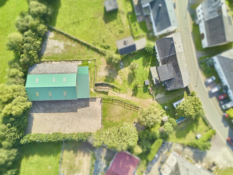 Pferdehof in Rheinland-Pfalz mit 8 Pferdeboxen und kleiner Halle in Niederhambach!