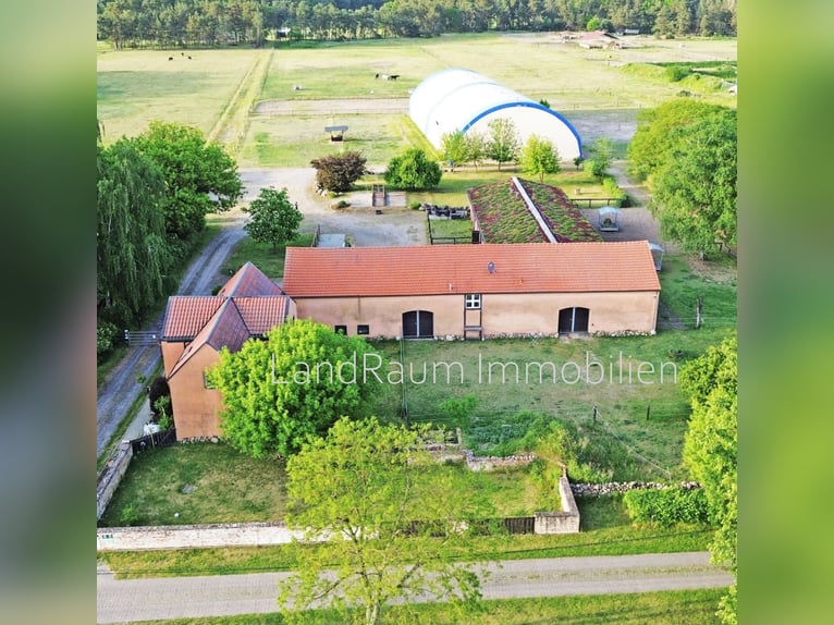 Pferdehof - Reitanlage, 4 FeWo, ca. 15 ha Land, Stallungen für 20+ Pferde, Eigentümerwohnung + 2 FW