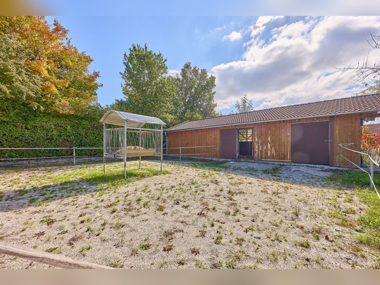 Pferdeimmobilie in Bayern kaufen im Landkreis Deggendorf - Schickes Landhaus mit Außenpool inklusive