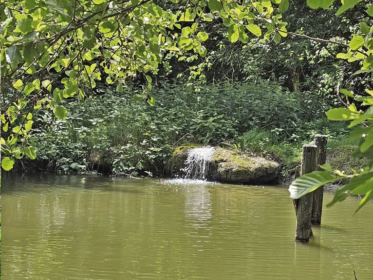 Privates Anwesen, ruhig im Grünen in Alleinlage gelegen, ideal für Pferde- und Naturfreunde