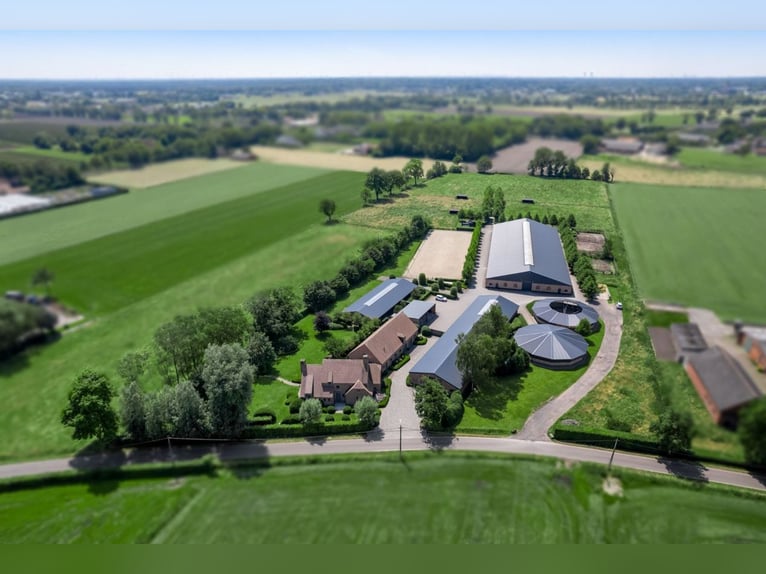 Professioneel hippisch eigendom met luxe villa op ca. 3,5 Ha