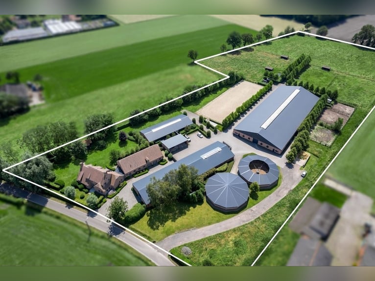 Professioneel hippisch eigendom met luxe villa op ca. 3,5 Ha