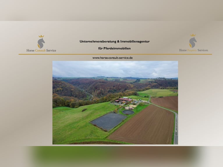 Propiedad ecuestre altamente rentable con amplio terreno para una crianza de caballos en condiciones