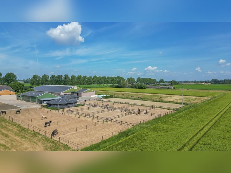 ¡Propiedad ecuestre compacta con vistas despejadas al campo!