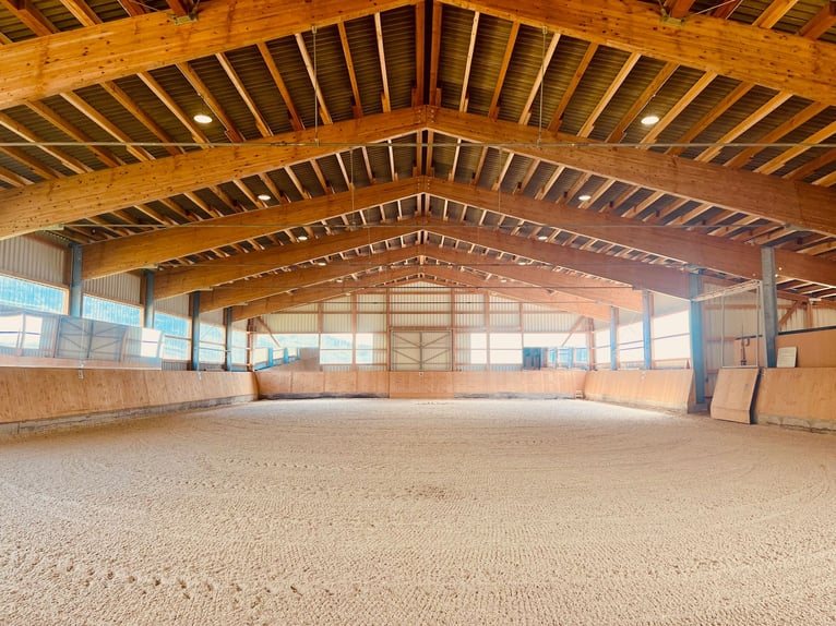 Propiedad ecuestre exclusiva con vistas a los Alpes – Paraíso para caballos con gran potencial V1308