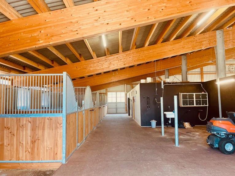 Propiedad ecuestre exclusiva con vistas a los Alpes: paraíso para caballos con perspectivas V13084