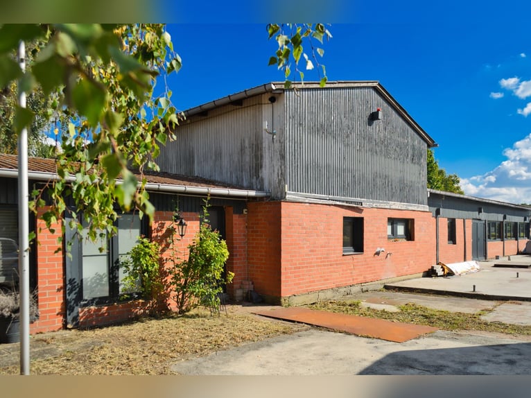 Propiedad ecuestre única cerca de Potsdam con 16 hectáreas de terreno consolidado