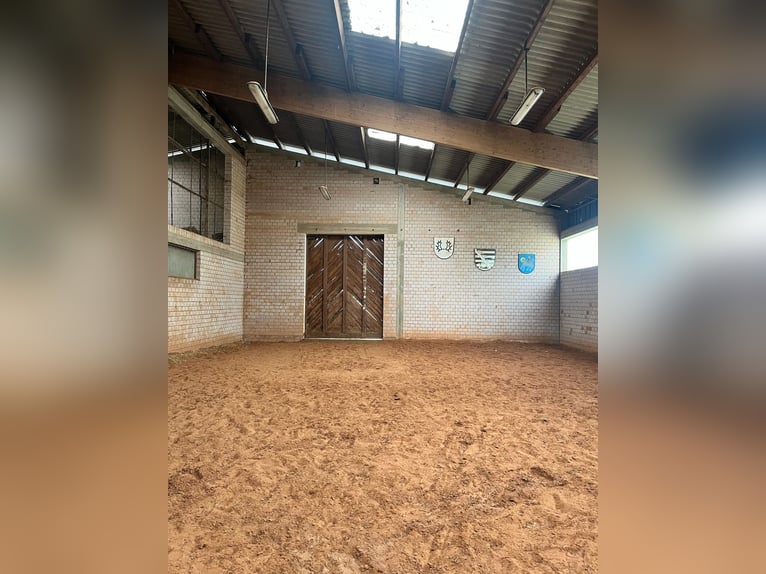 Propiedad ecuestre única en la región de Palatina: 5,8 hectáreas, casa, establo, pista cubierta, pad