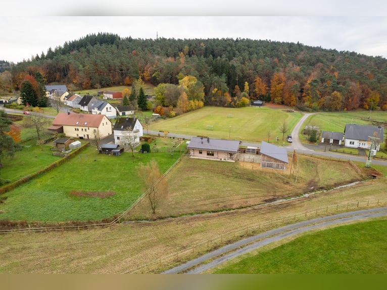Propiedad equina exclusiva en medio de la naturaleza de la Eifel