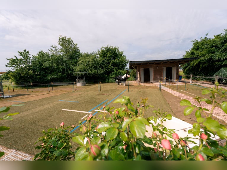 Propiedad histórica de molino en aislamiento, con alojamiento para caballos, energía hidroeléctrica 