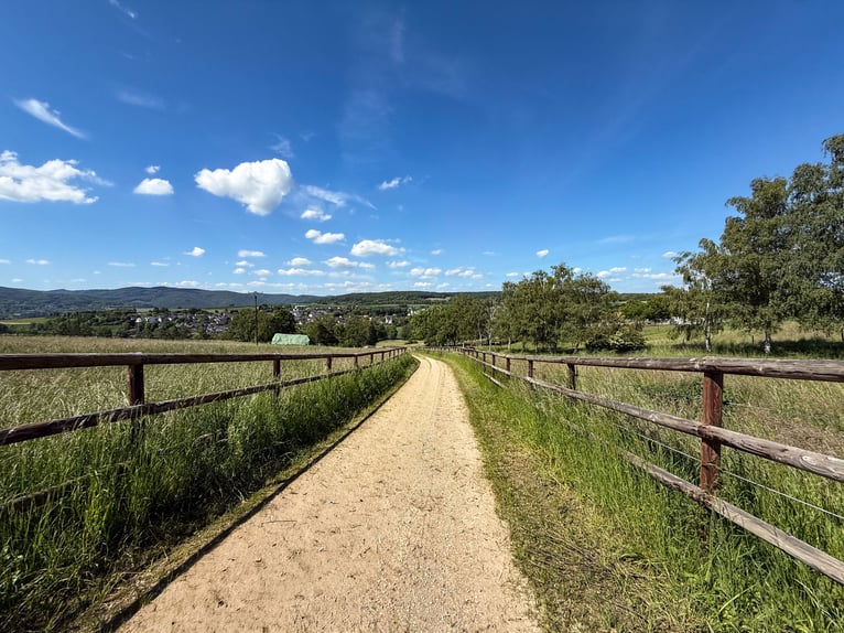 Propiedad privada con instalaciones ecuestres y vistas panorámicas, ubicada a las puertas de Bonn y