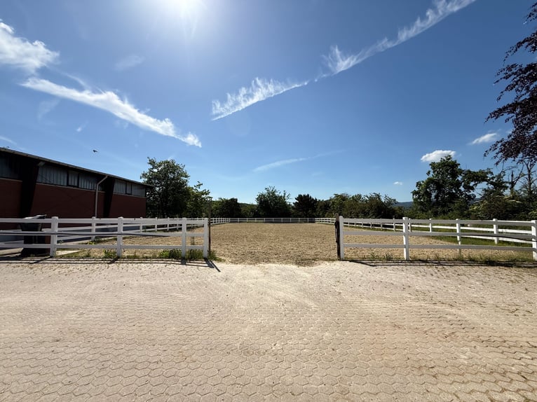 Propiedad privada con instalaciones ecuestres y vistas panorámicas, ubicada a las puertas de Bonn y