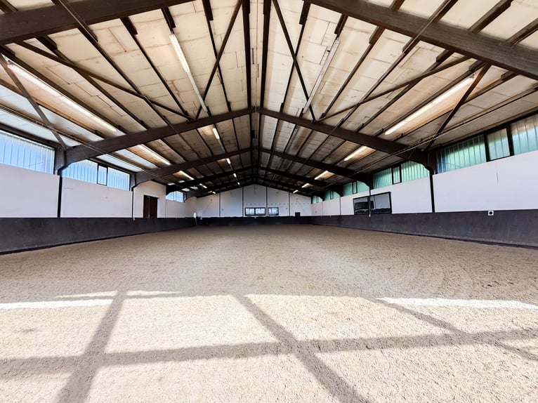 Propiedad privada con instalaciones ecuestres y vistas panorámicas, ubicada a las puertas de Bonn y