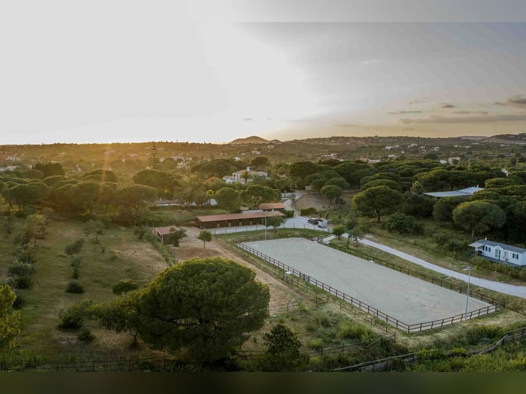 Propiedad privada exclusiva en el "Triángulo de Oro", Portugal