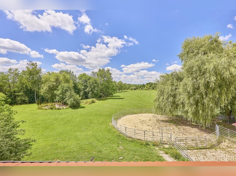 Propiedad privada para caballos en el distrito de Ravensburg, con varias viviendas y acceso al lago.