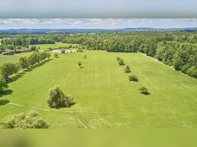 Propiedad privada para caballos en el distrito de Ravensburg, con varias viviendas y acceso al lago.