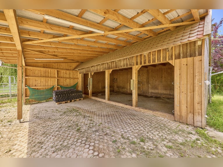 Propiedad privada para caballos en el distrito de Ravensburg, con varias viviendas y acceso al lago.