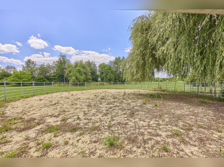 Propiedad privada para caballos en el distrito de Ravensburg, con varias viviendas y acceso al lago.
