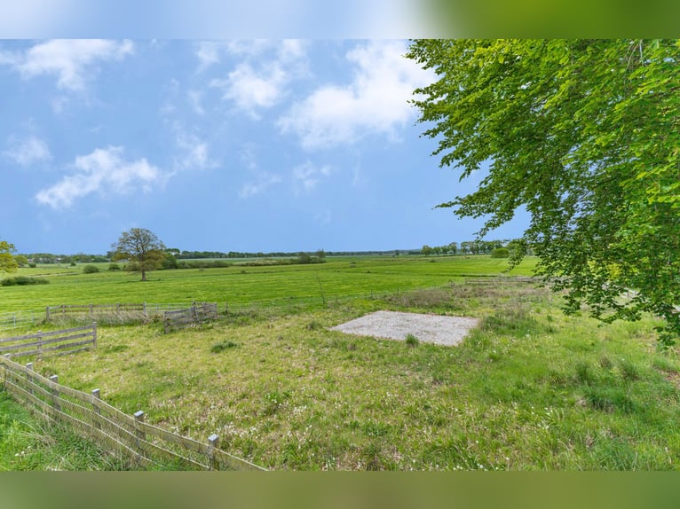 Pura tierra de amor: amplia propiedad en una zona tranquila y aislada con aproximadamente 7,5 hectár