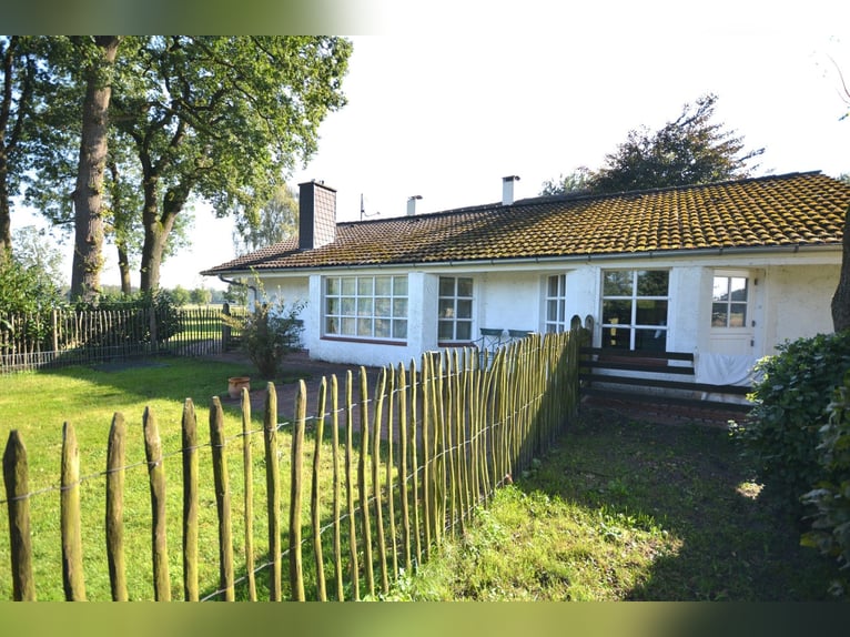Rancho ecuestre en 5,7 hectáreas! Propiedad de ensueño con casa de techo de paja, casa de huéspedes 