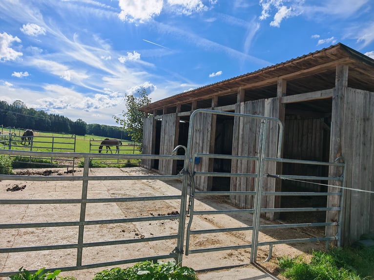 Rancho ecuestre y agrícola al este de Múnich