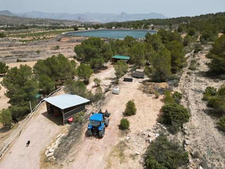 Ref2523SS SPANIEN, Alicante, Monóvar - gut eingeführte Pferde-Gäste-Ranch zu verkaufen!
