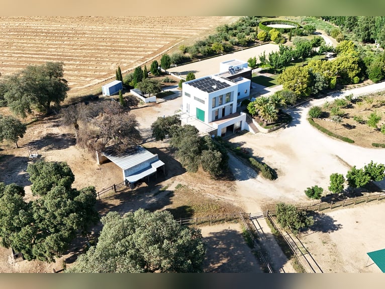 Ref2527 Andalusien, Ronda - moderner Reitstall/ Trainingszentrum zu verkaufen!