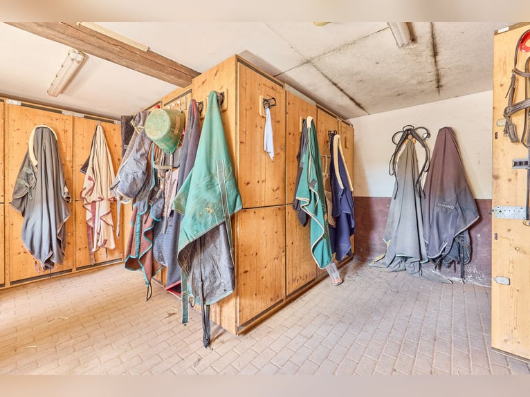 Reitanlage bei Villingen-Schwenningen mit zwei Reithallen & ländlicher Wohnidylle! Reitanlage bei Villingen-Schwenningen mit zwei Reithallen & ländlicher Wohnidylle!