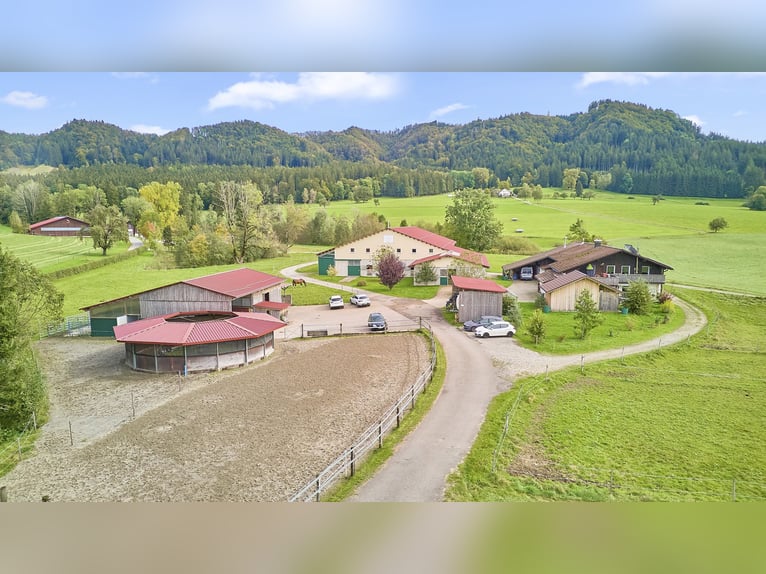 Reitanlage im Allgäu in malerischer Natur- Leben zwischen Bergen und Wäldern!