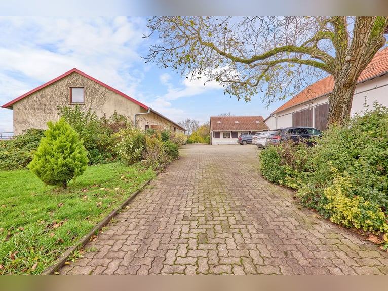 Reitanlage in Alleinlage im Main-Kinzig-Kreis zu verkaufen – mit großem Landhaus & Außenpool!