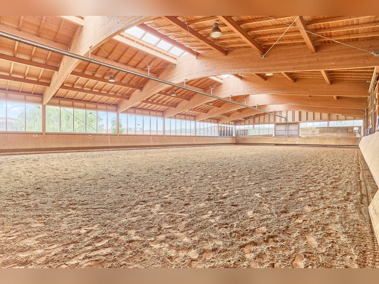 Reitanlage in Bayern mit historischem Wohnhaus und gepflegten Trainingsbedingungen!