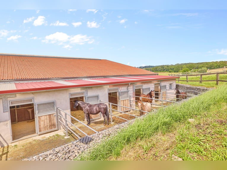 Reitanlage in Bayern mit historischem Wohnhaus und gepflegten Trainingsbedingungen!