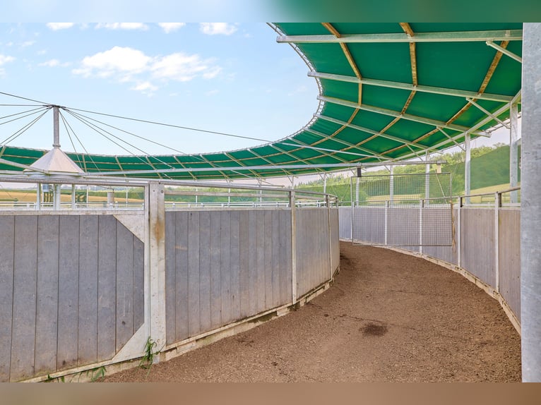 Reitanlage in Bayern mit historischem Wohnhaus und gepflegten Trainingsbedingungen!