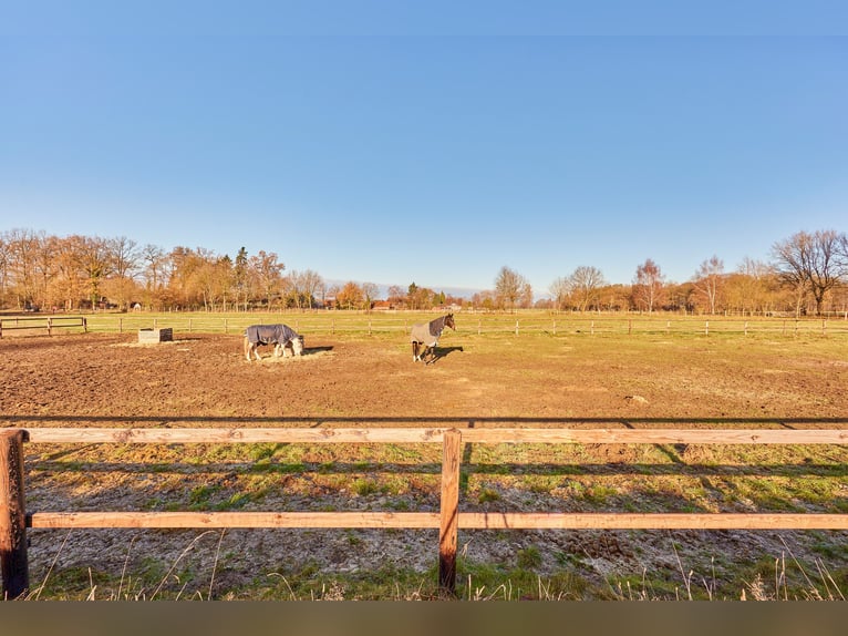 Reitanlage in Niedersachsen (Landkreis Uelzen) mit Wohn- und Gästehaus zu verkaufen!