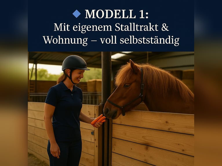 Reitschule gründen – auf professioneller Anlage mit voller Unterstützung
