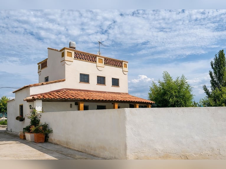 Reitzentrum in Castellón   //   Centro hípico en Castellón Sur