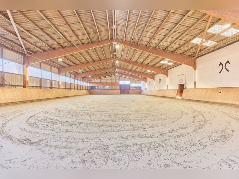 *RESERVIERT* Reitanlage in Niedersachsen (Landkreis Uelzen) mit Wohn- und Gästehaus zu verkaufen!