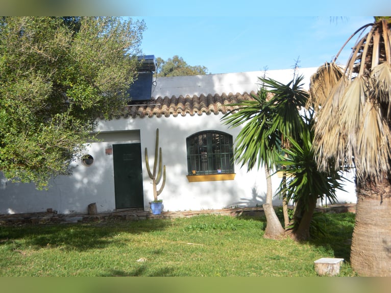 Ruhe pur - Finca in Vejer