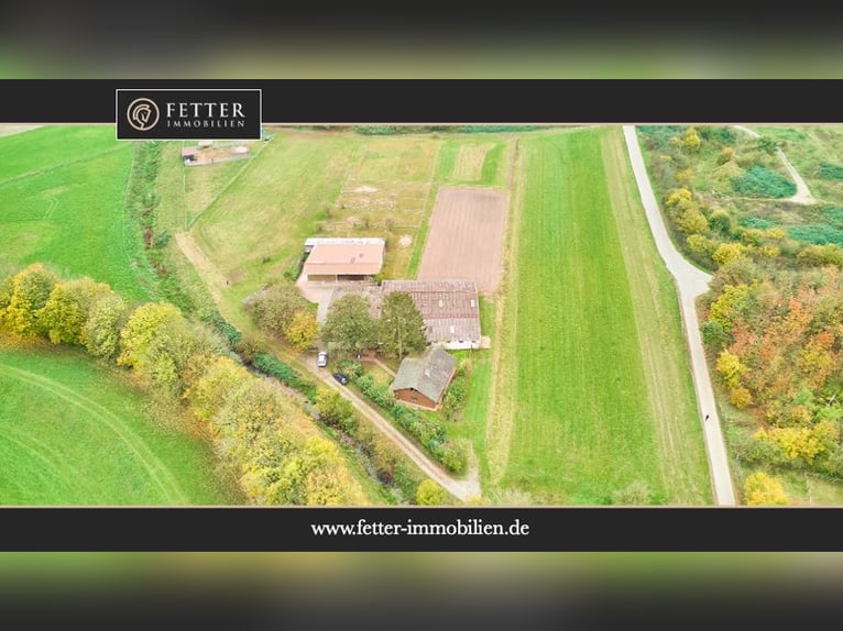 Ruhig gelegener Pferdehof in Lorsch an der Bergstraße mit romantischem Holzhaus!