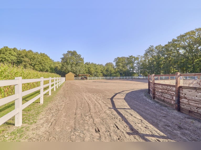 Schicke Reitanlage im Emsland mit gehobenem Wohnkomfort und gewerblicher Pferdehaltung!