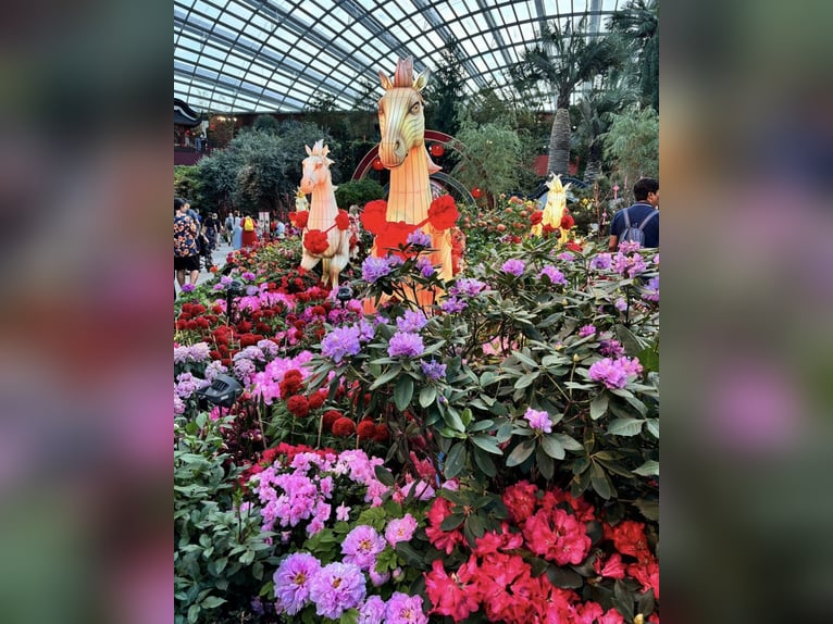 Se busca un espacio para arrendar o alquilar