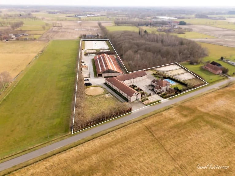 Stoeterij 'De Roshoeve' op ca. 2,4 ha te Geel