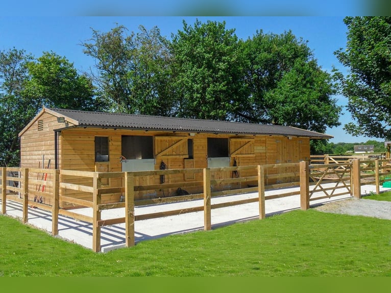 STUNNING EQUESTRIANPROPERTY/LANDHOUSE NEAR XATIVA/VALENCIA