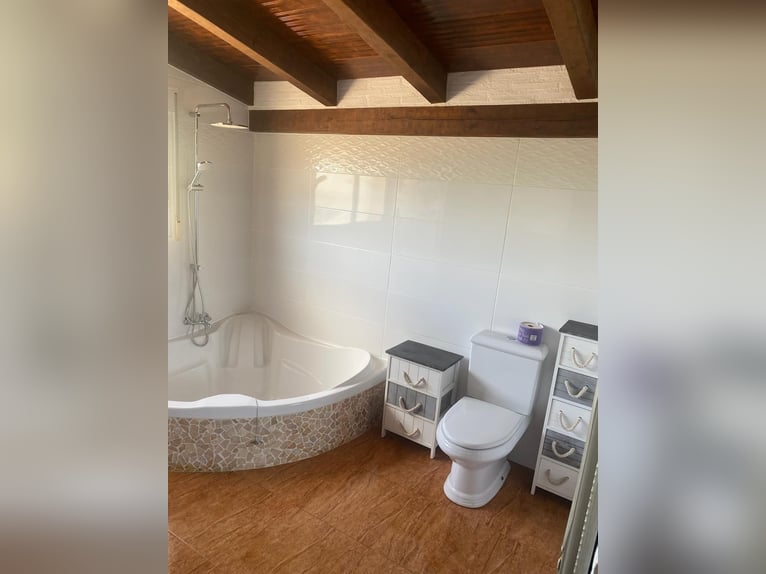 STUNNING EQUESTRIANPROPERTY/LANDHOUSE NEAR XATIVA/VALENCIA