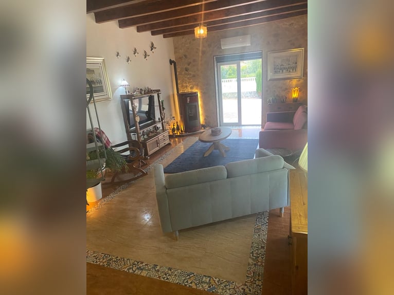 STUNNING EQUESTRIANPROPERTY/LANDHOUSE NEAR XATIVA/VALENCIA