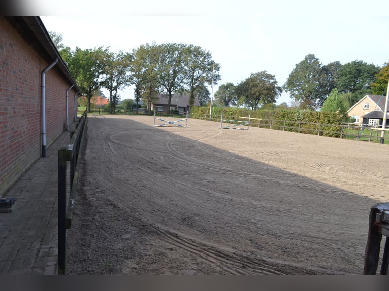 Te huur aangeboden een professionele paarden manege/complex/stallen