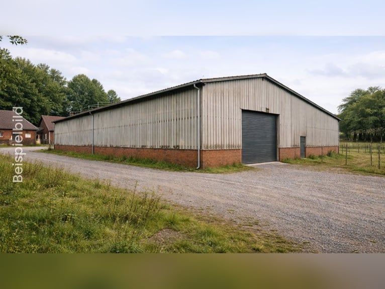 Terreno atractivo con construcción de establos y boxes para caballos – Heede, Código Postal 26892