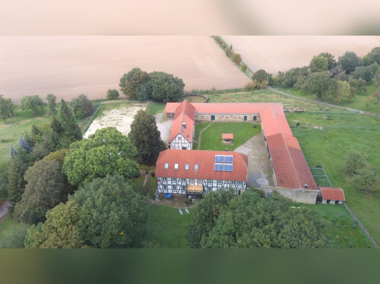 Traumhaft schöner Landsitz mit eigenem Wald, Reiterhof u.v.m. in ruhiger Lage mit guter Anbindung