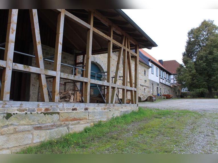 Traumhaft schöner Landsitz, Reiterhof u.v.m. in ruhiger Lage mit guter Anbindung