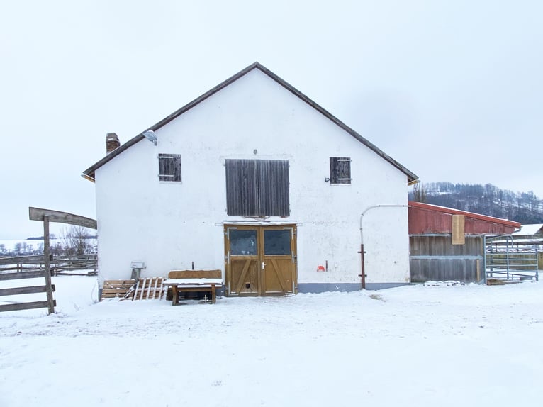 Traumhafte Reitanlage mit Reiterstube – Alleinlage inmitten Südthüringer Natur + perfekte Anbindung